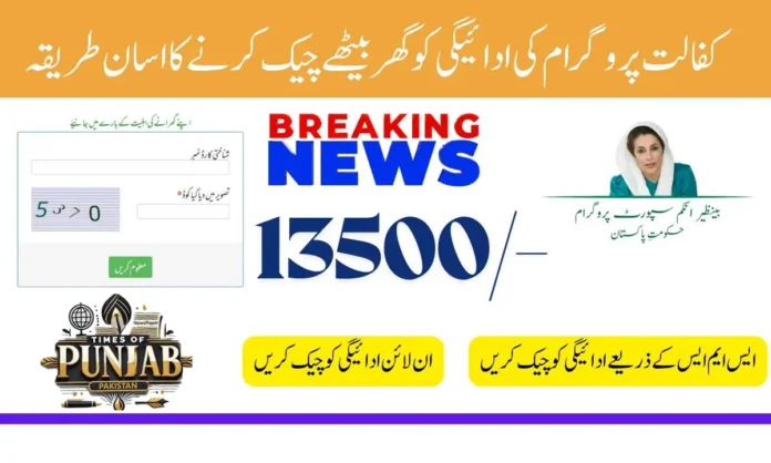 Benazir Kafaalat Payment Check via 8171 Web Portal: Updated for 2025