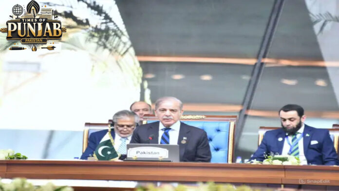PM Shehbaz Highlights Role of Youth and SMEs in Economic Development at D-8 Summit